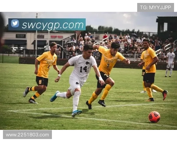 开云体育在线观看官方页面快速访问全球体育赛事直播