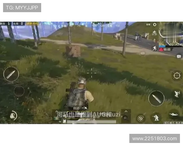 MG老虎原型机在军事模拟与虚拟现实中的应用潜力及其对未来战场的影响分析