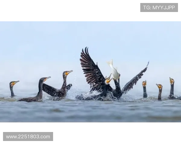 K8捕鱼电玩攻略大全，详细解析捕鱼技巧与奖励机制助你轻松获胜