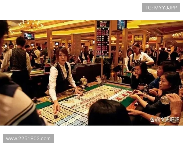 掌握澳门骰宝概率规律实现稳健赢钱的实用策略推荐