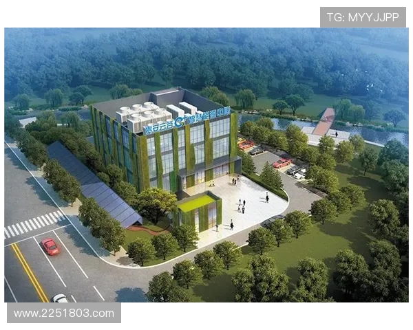 利用k8凯发网址的VIP系统提升游戏等级，享受专属特权与个性化服务